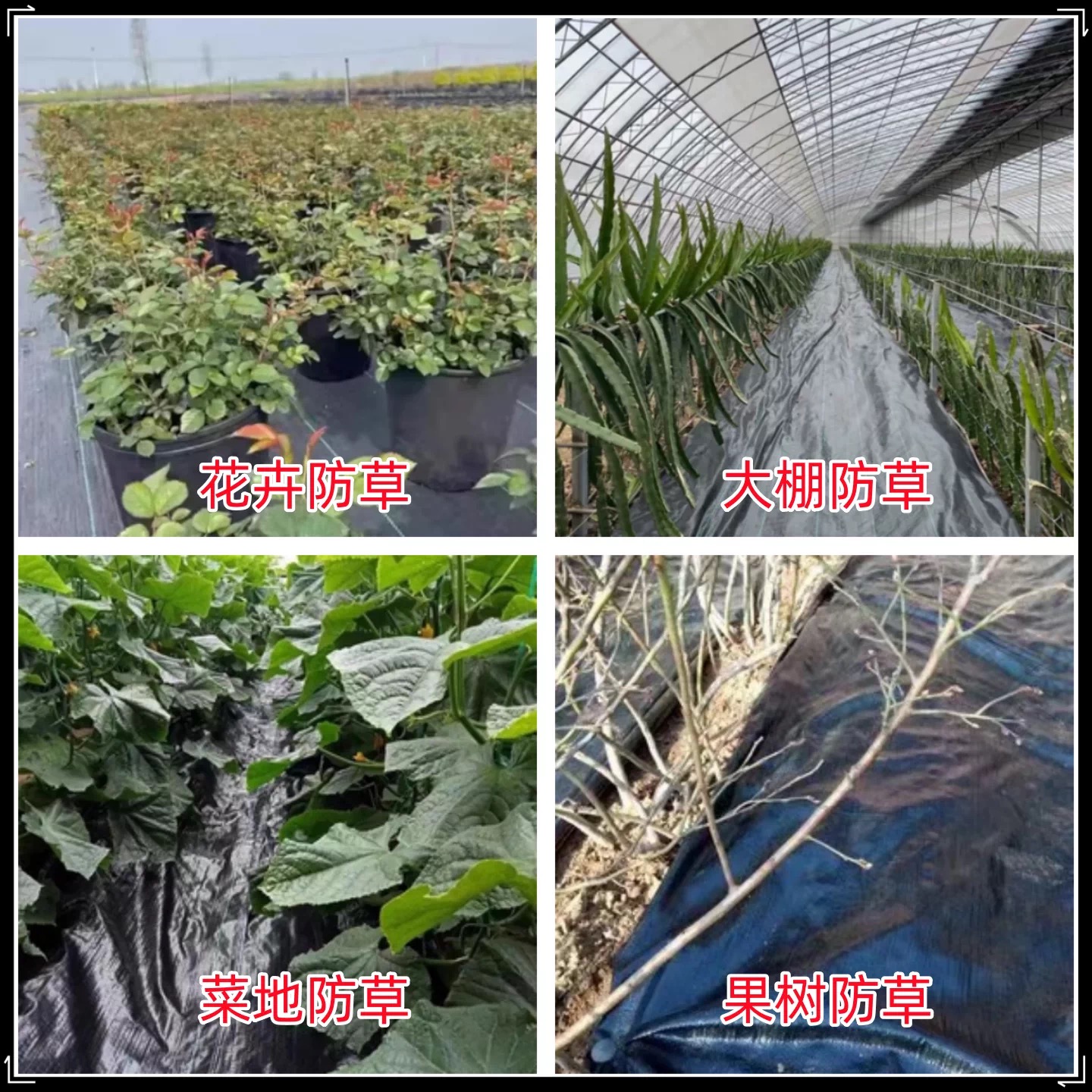 太原市工程膜防草布 - 哪里好