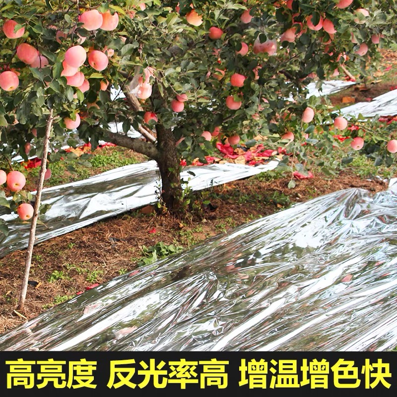 太原市防草布果树反光膜 - 一站式服务